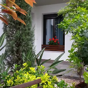 Апартаменты Apartamentos Patio De Viana, Кордова